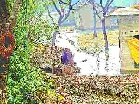 Canal cut, crops drowned.